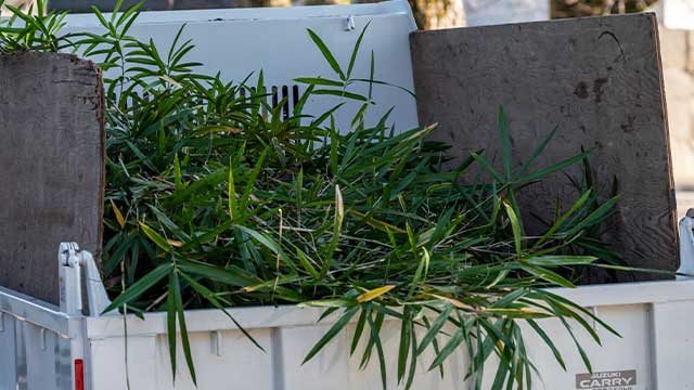 植木の処分方法